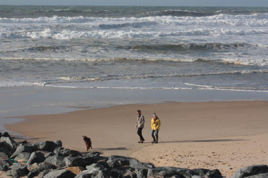 b0296855_20202733.jpg