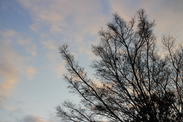 b0055171_233269.jpg