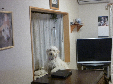 e0161972_13505371.jpg