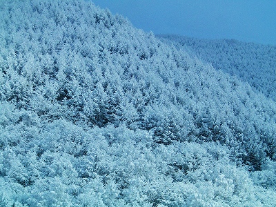 f0182173_11534121.jpg