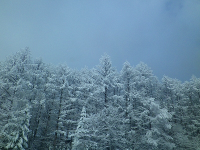 f0182173_11535439.jpg