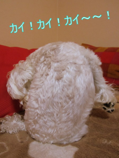 d0264176_1926468.jpg