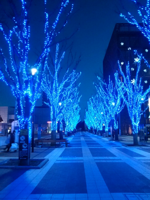 c0096582_2353270.jpg