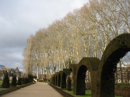 a0247585_320020.jpg