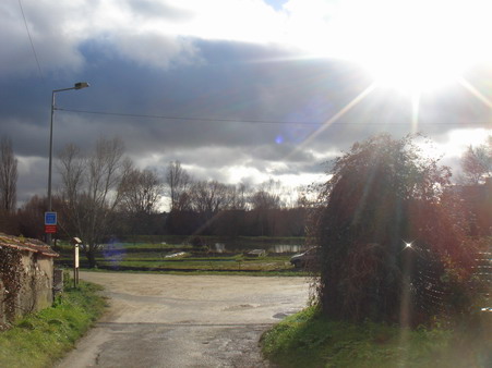 a0247585_3272650.jpg