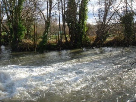 a0247585_3281039.jpg