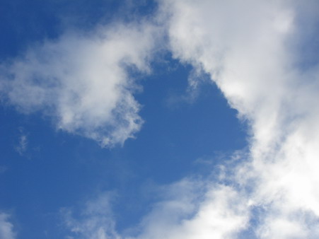 a0247585_33222.jpg