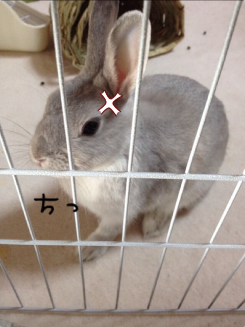 f0306186_155272.jpg