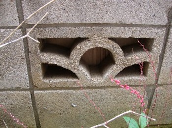 c0322794_1910564.jpg