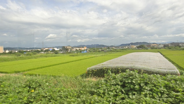 d0004301_854359.jpg