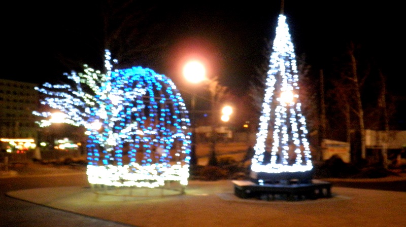 e0304702_11332652.jpg