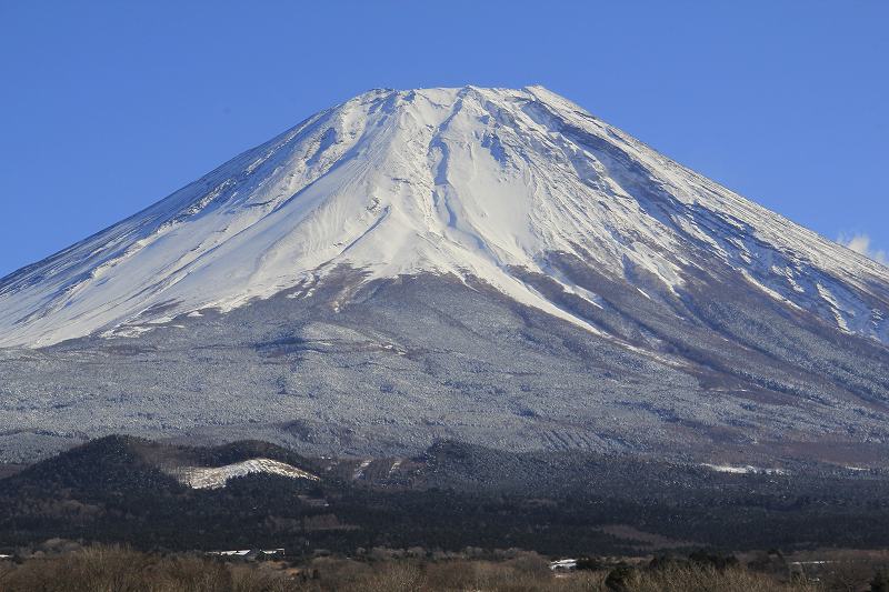 a0188405_20205819.jpg