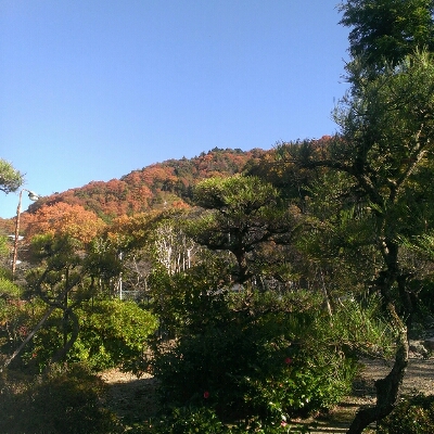 e0272108_1424456.jpg
