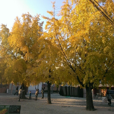 e0272108_231327.jpg