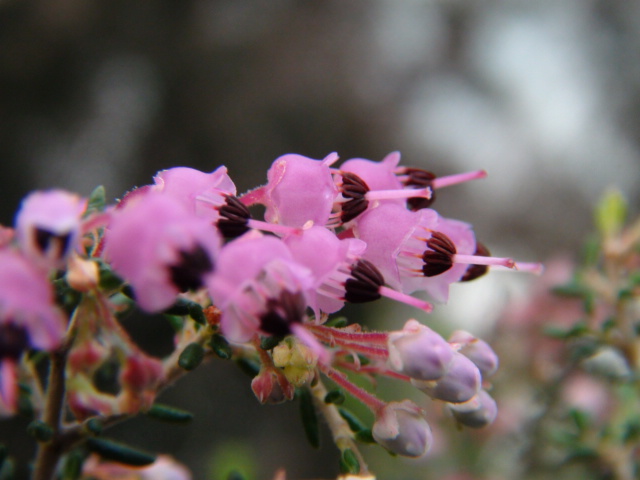 f0231709_1244240.jpg