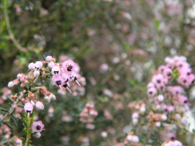 f0231709_1265053.jpg
