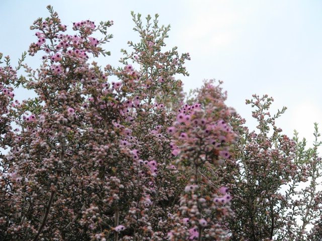 f0231709_1273683.jpg