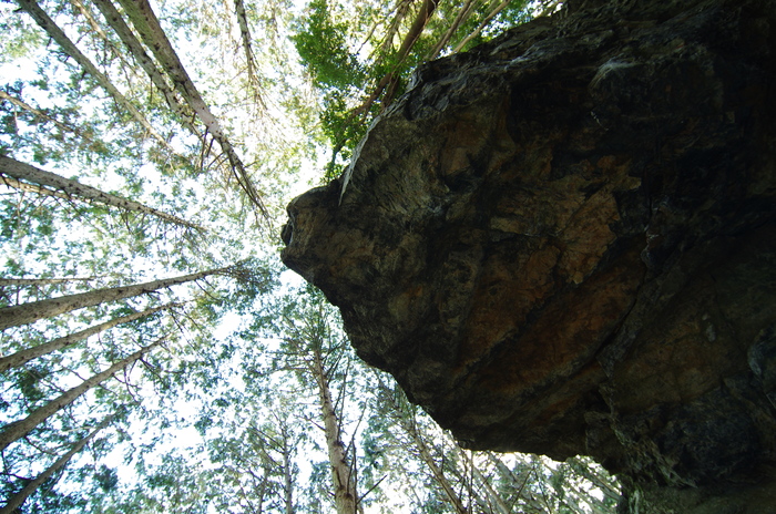 f0195813_1757341.jpg