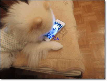 b0167519_23591285.gif
