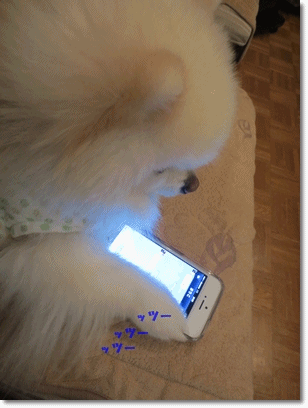 b0167519_23594348.gif