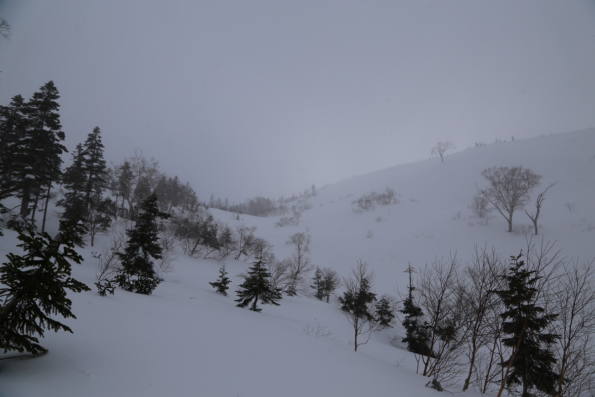 b0062024_2358517.jpg