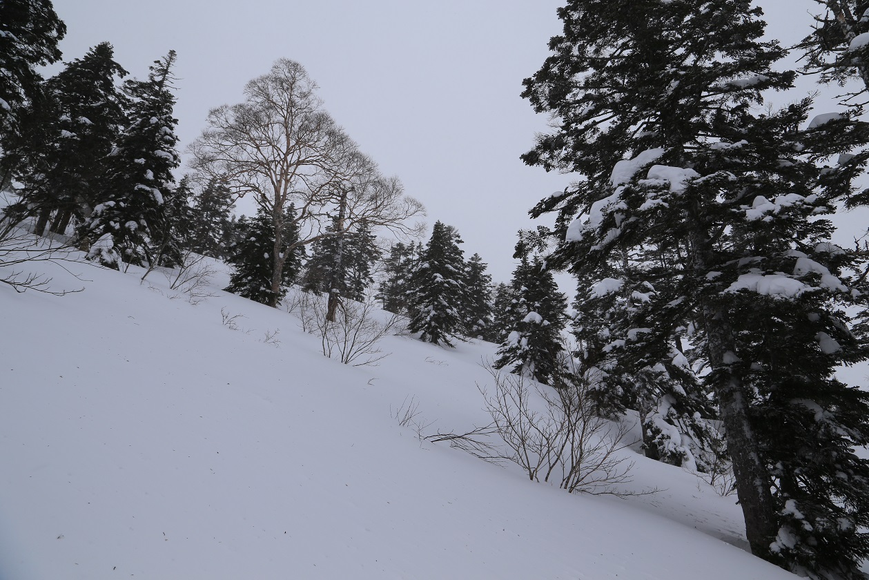 b0062024_235887.jpg