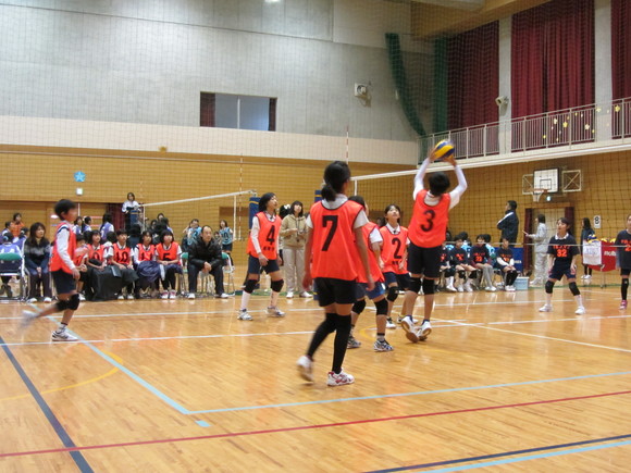 d0138226_0114452.jpg