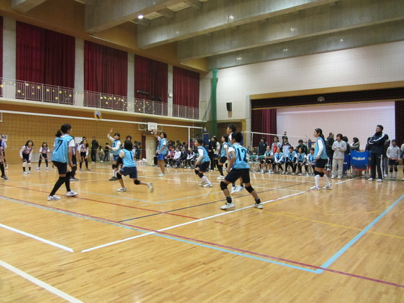 d0138226_0212379.jpg