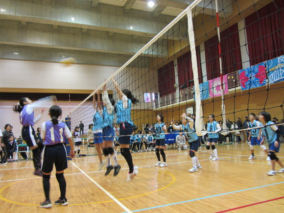 d0138226_021426.jpg