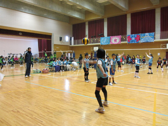 d0138226_0231115.jpg