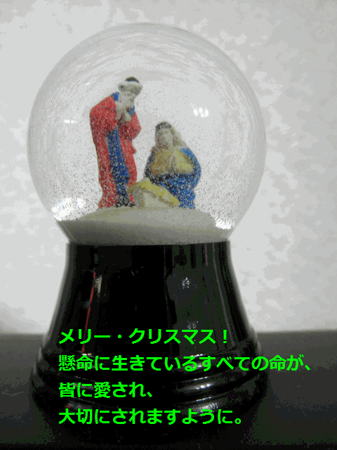 c0136736_19255116.gif