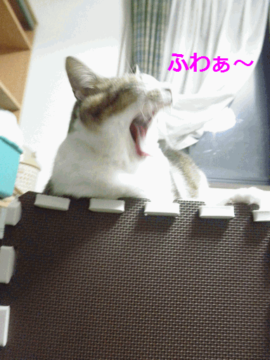 c0136736_192749100.gif