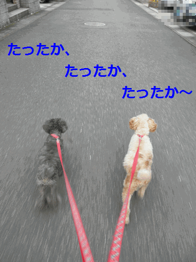 c0136736_19301768.gif