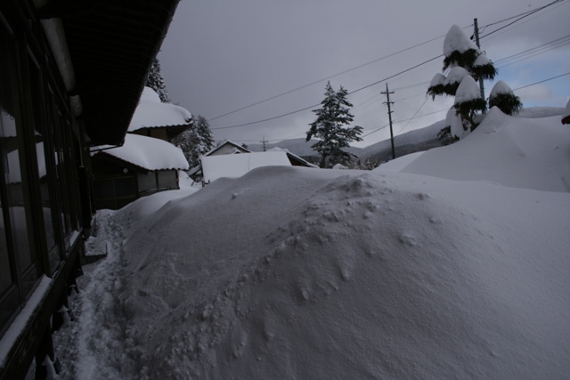 d0049138_1625660.jpg