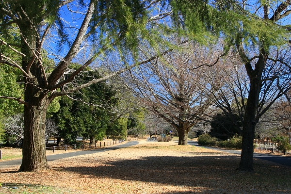 a0120949_85323100.jpg
