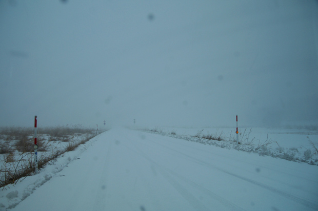 f0214649_4384952.jpg
