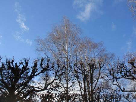 a0247585_5531494.jpg