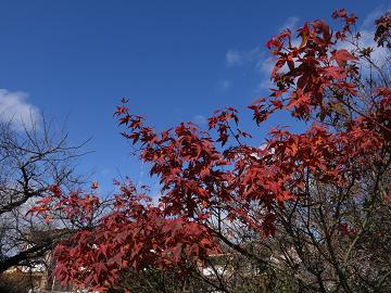 e0130185_1127977.jpg