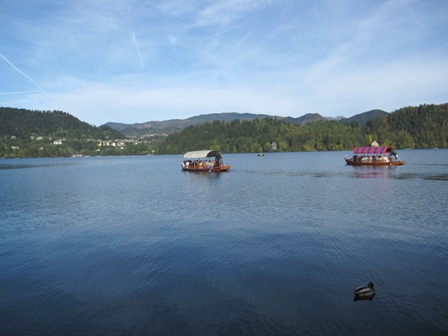 b0155803_20184714.jpg