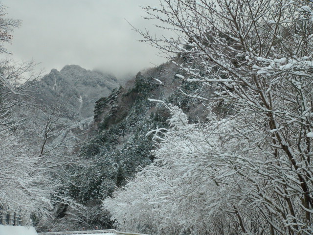f0231709_13244135.jpg
