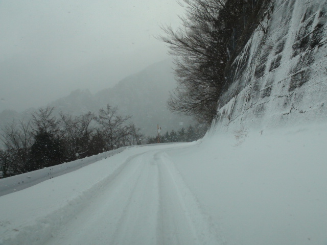 f0231709_13272914.jpg