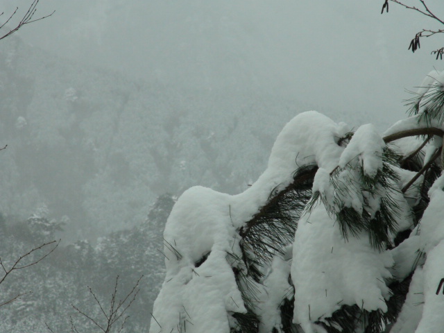 f0231709_13341156.jpg