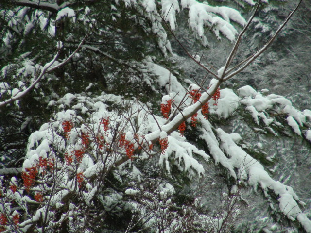 f0231709_13362118.jpg