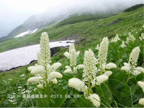 d0170615_156442.jpg