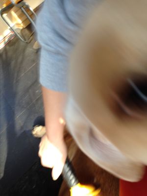 e0192217_10181942.jpg