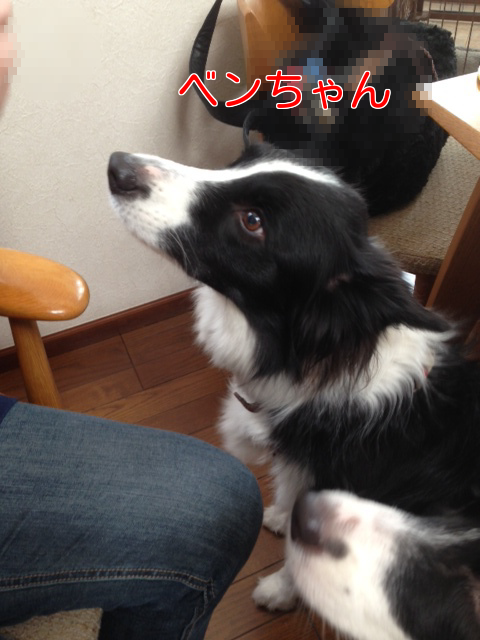 a0232619_20463987.png