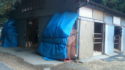 b0187620_20311656.jpg