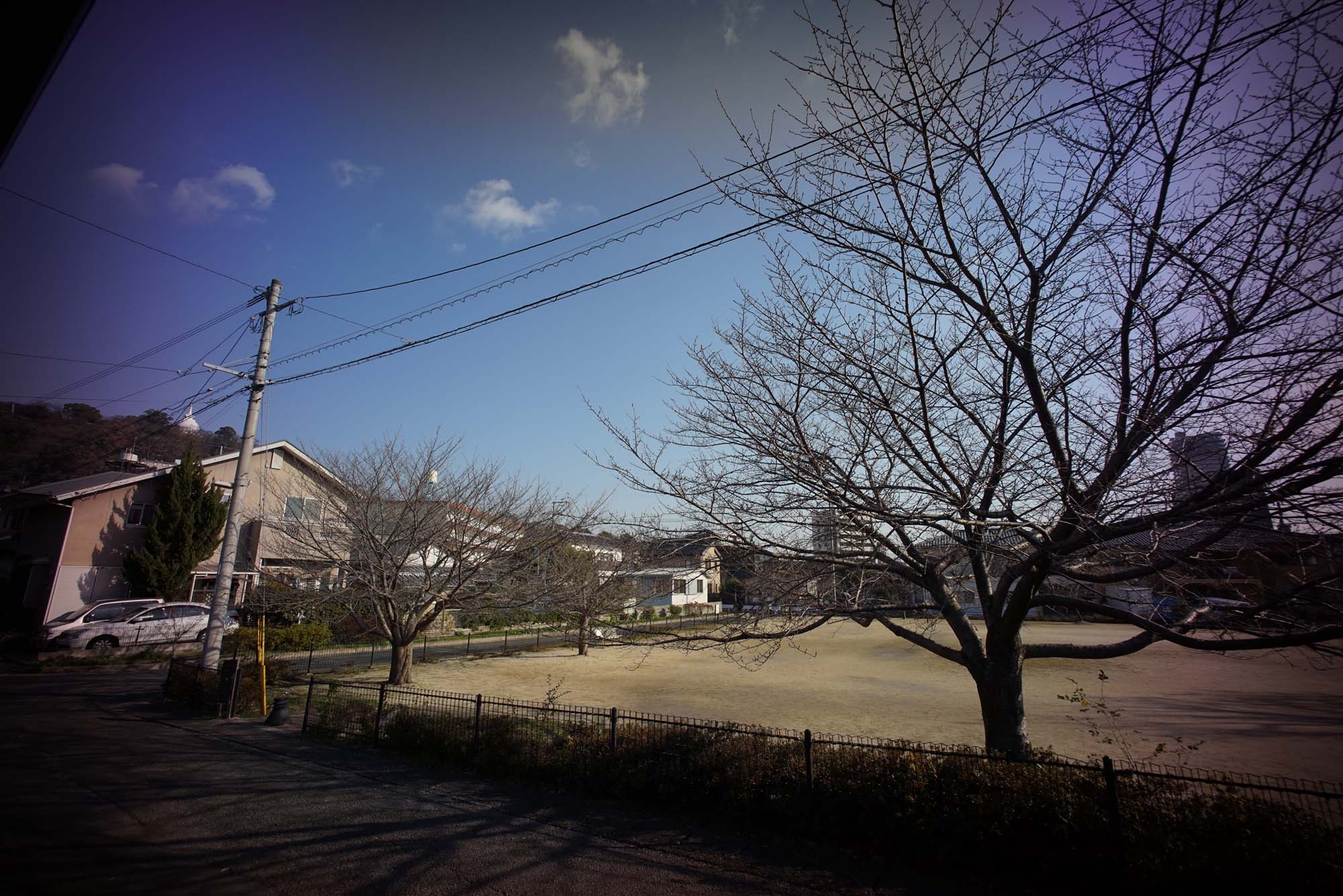 d0032222_10365654.jpg