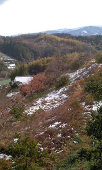 c0188928_1655262.jpg
