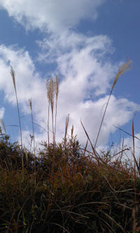 c0188928_1655599.jpg